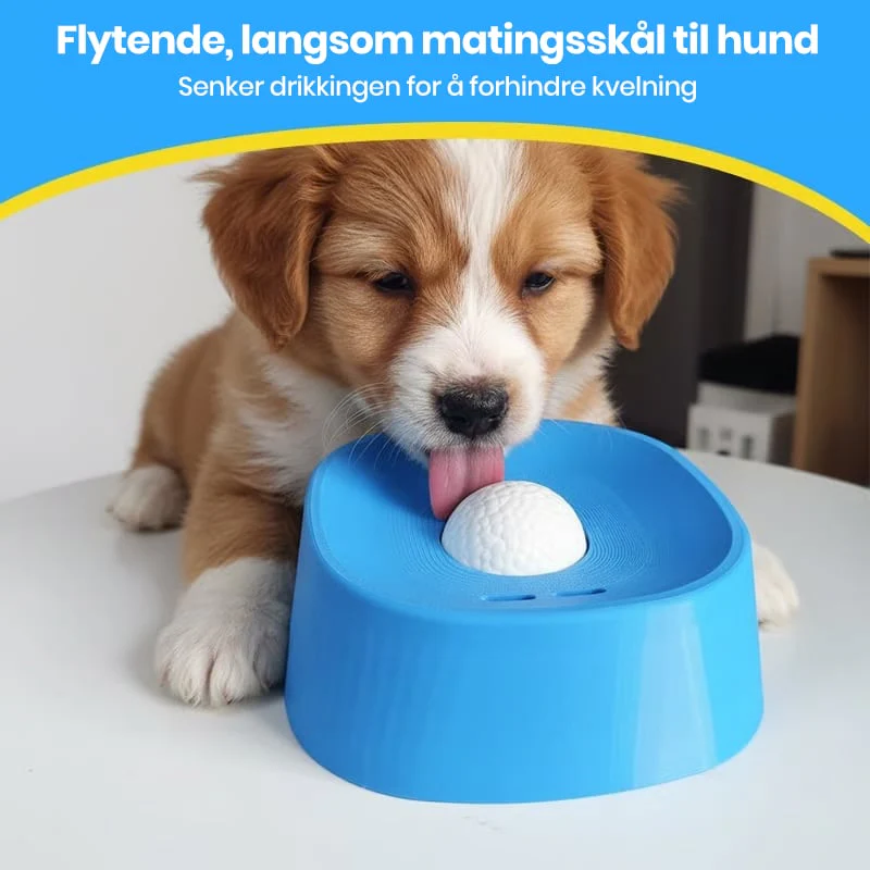 Calm Drinking Solution for Stress-Free Digestion and Happy Dogs - Image 8