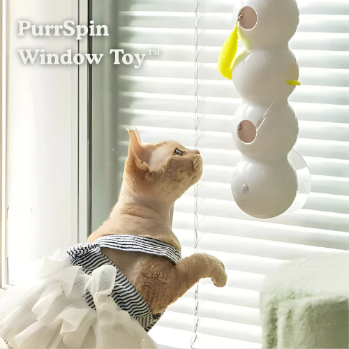Carnivor™ — Ignite Your Cat’s Wild Instincts for Non-Stop Play and Sharp Focus