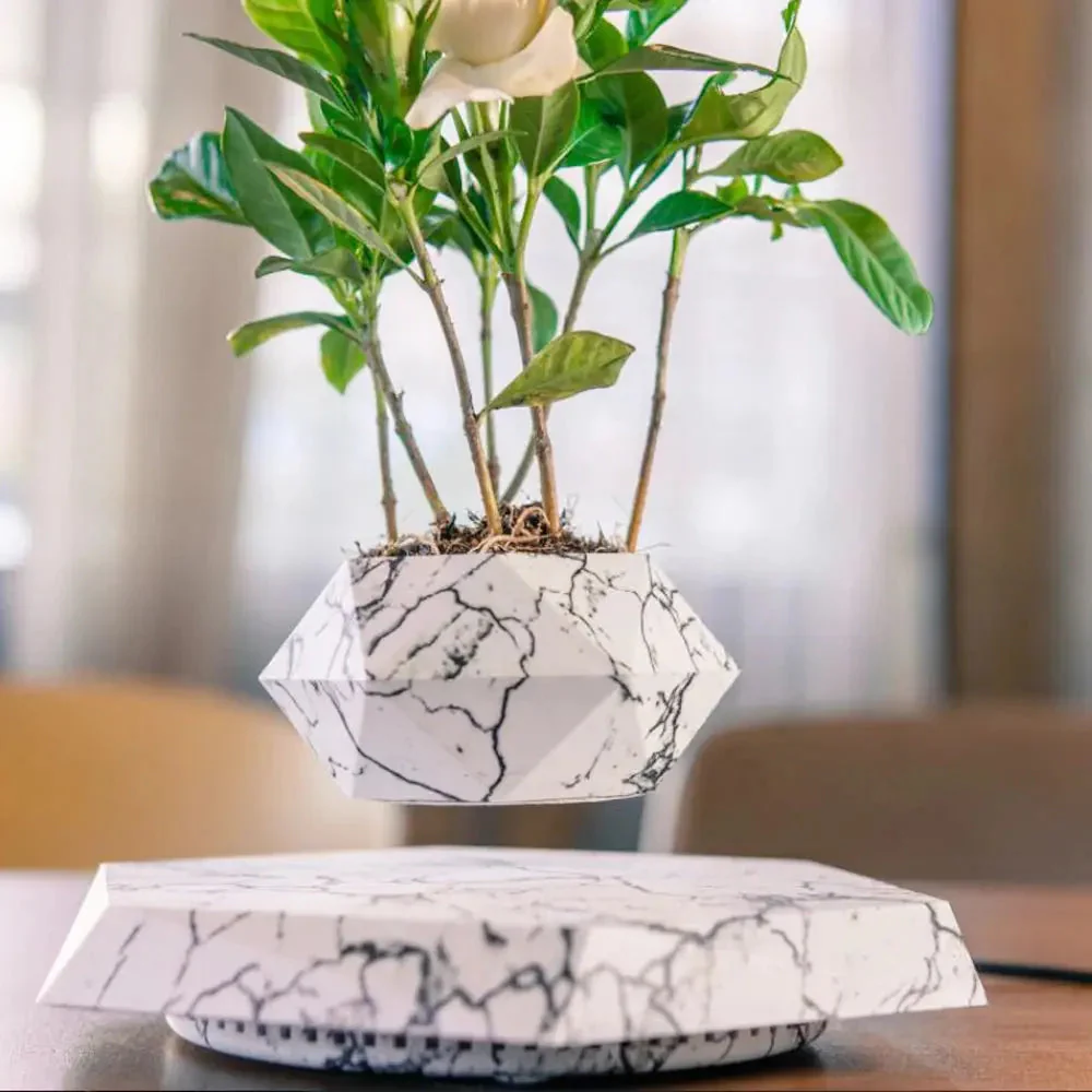 Flower Planter | 360° Rotatable | Artistic, Floating Style | AeroPlant - Image 5