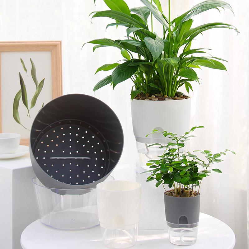 Flower Planter | Self-Irrigating | Clean Watering System | AquaWick - Image 2