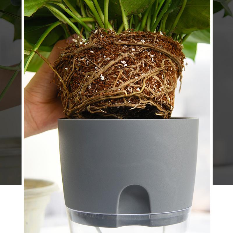Flower Planter | Self-Irrigating | Clean Watering System | AquaWick - Image 6