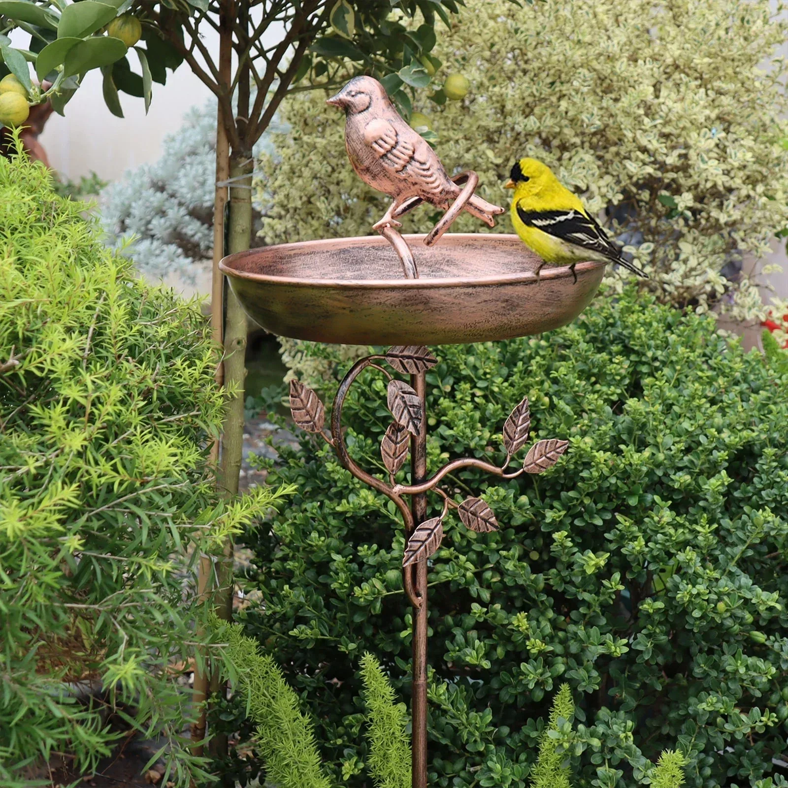 Garden Bird Water Bowl | Ornamental Basin | Secure Spike | GardenShine - Image 9