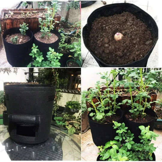 Grow Bag | Permeable Nonwoven Material | Harvest Flap with Velcro Closure | HarvestBag - Image 3