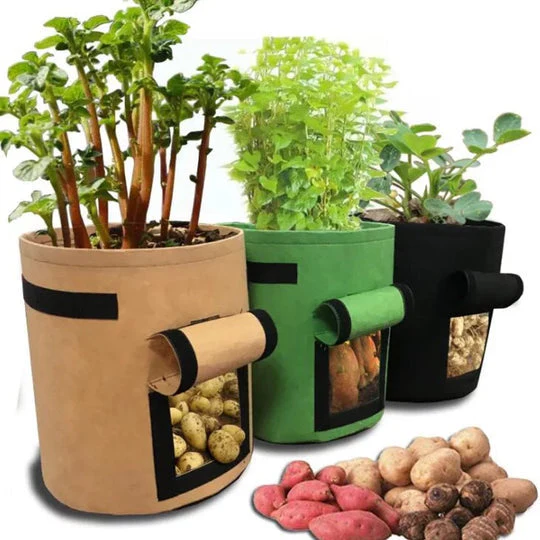 Grow Bag | Permeable Nonwoven Material | Harvest Flap with Velcro Closure | HarvestBag - Image 7