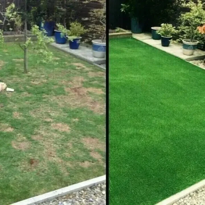 Lawn Mat | Fast Lawn Renewal | Substitute for Turf Rolls | TerraSprout - Image 5