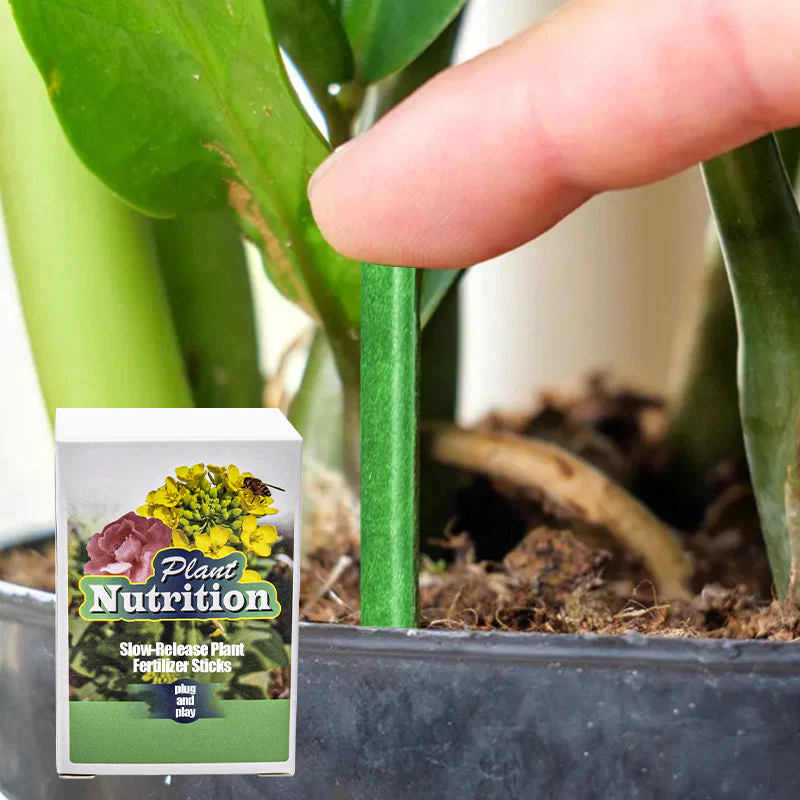 Plant Feeding | Uniform Nutrient Spread | Simple to Insert | RootVita - Image 5