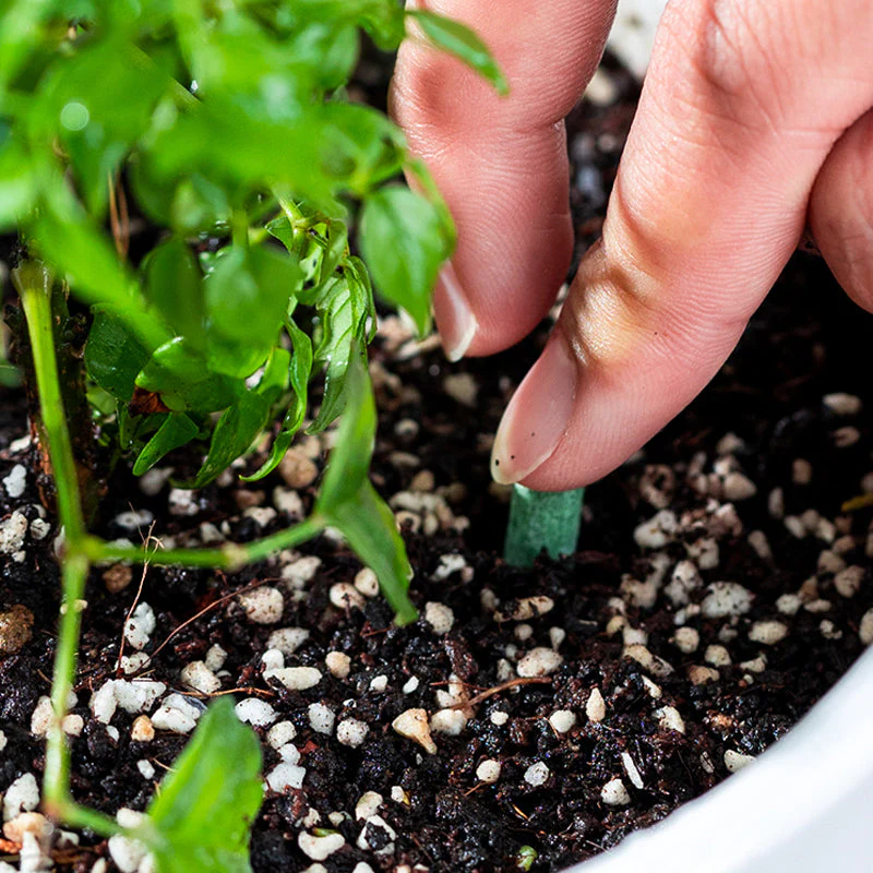 Plant Feeding | Uniform Nutrient Spread | Simple to Insert | RootVita - Image 7