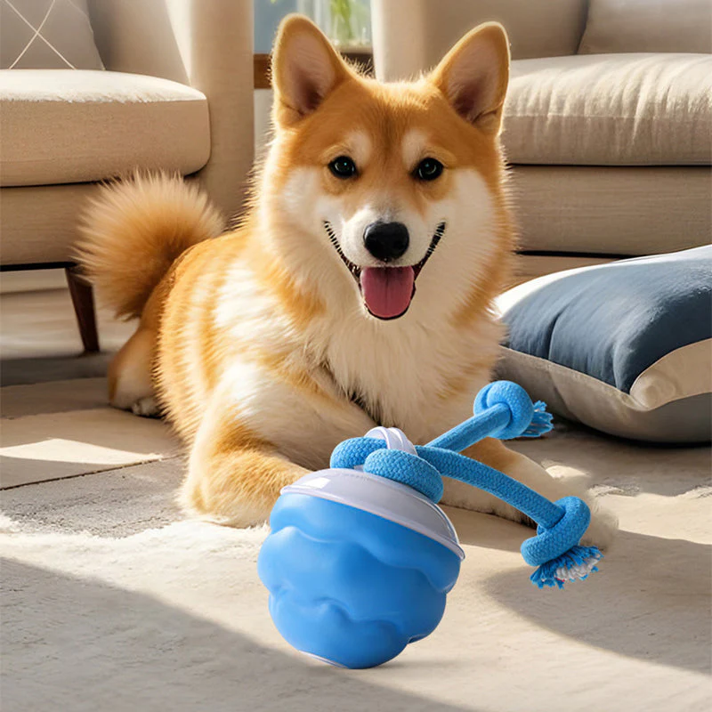 PulsePaw™ — Transform Your Pet’s Energy into Endless Joy and Calm - Image 8