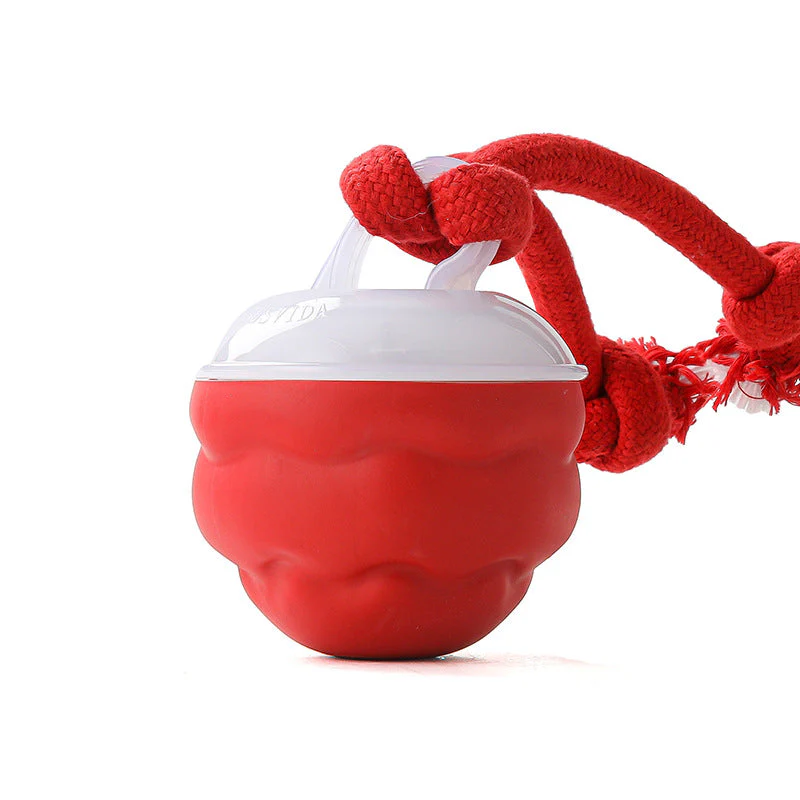 PulsePaw™ — Transform Your Pet’s Energy into Endless Joy and Calm - Image 9