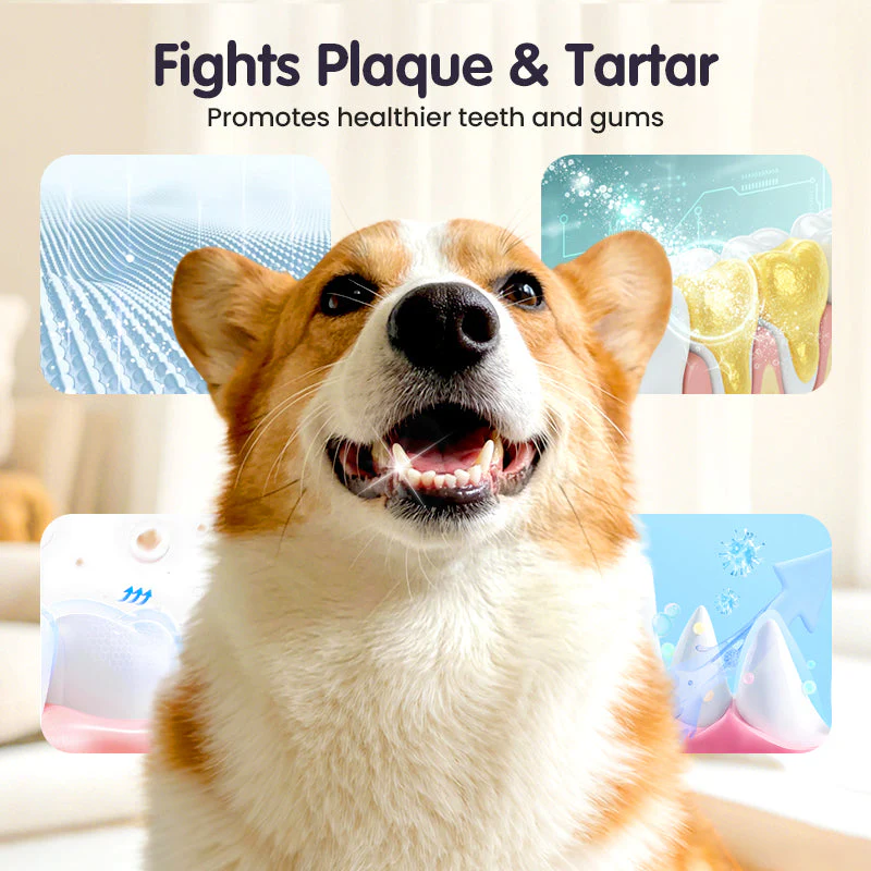 PurePaw™ — Sparkling Fresh Breath and Effortless Smiles for Your Beloved Pet - Image 4
