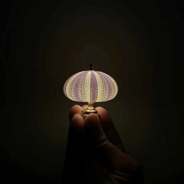 Sea Urchin Evening Lamp - Image 11
