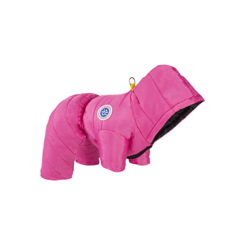 Transform Cold Winter Days into Cozy Comfort Moments for Your Dog - Image 15