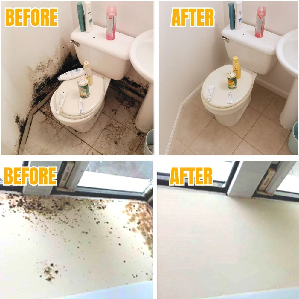MoldDefy™ — Banish Mold Fast and Keep Your Home Fresh, Safe, and Welcoming - Image 3