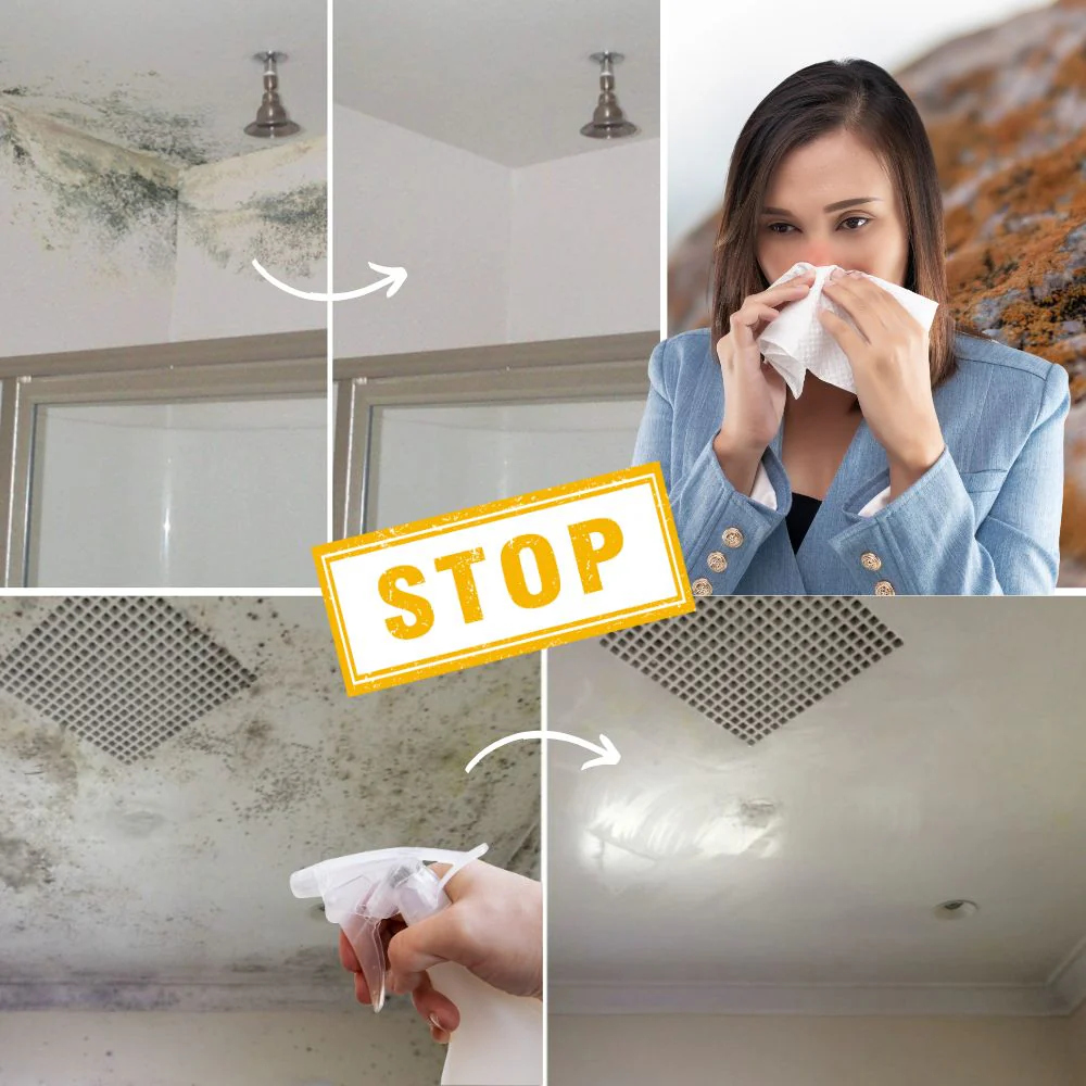 MoldDefy™ — Banish Mold Fast and Keep Your Home Fresh, Safe, and Welcoming - Image 5
