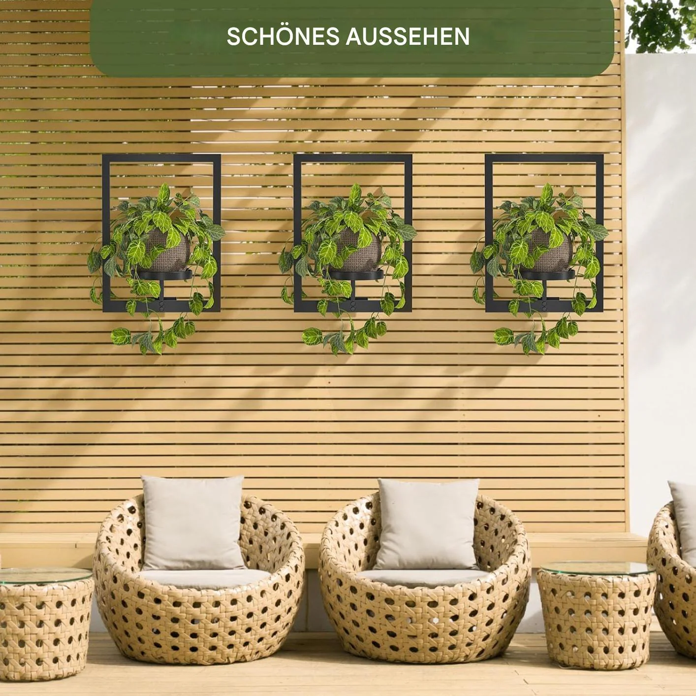 Wall Mounted Plant Holder | Metal Frame | Space-Efficient | Plantify - Image 5