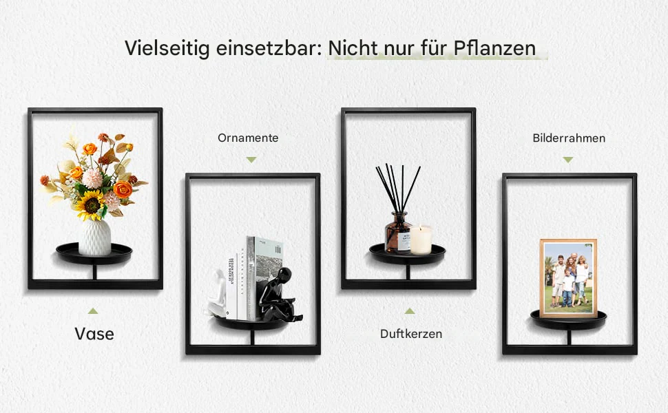 Wall Mounted Plant Holder | Metal Frame | Space-Efficient | Plantify - Image 7