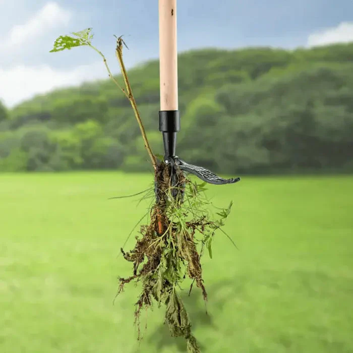 Weed Extractor with Foot Lever | Effective Weed Removal | Extended Handle | RootRaus - Image 2